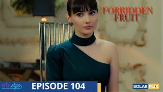 Forbidden Fruit Episode 104  FULL EPISODE  TAGALOG DUB  Turkish Drama [upl. by Newo625]