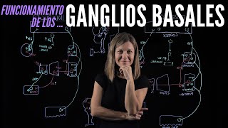 Funcionamiento de los ganglios basales en el control del movimiento [upl. by Frayne]