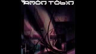 Amon Tobin  Permutation Full Album [upl. by Atsiuqal]