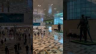 Exploring the Amazing Features of Changi Airport [upl. by Acinomahs]