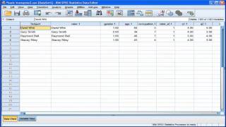 Transpose Data  SPSS part 2 [upl. by Enymzaj]