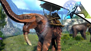 TAMING de lincroyable DEINOTHERIUM sur ARK  CHRONICLES [upl. by Ennovad195]