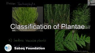 Classification of Plantae Biology Lecture  Sabaqpk [upl. by Jezabelle]