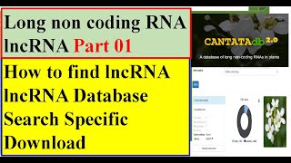 Long NonCoding RNA Part 01 Methods and Techniques for finding the lncRNA CANTATAdb [upl. by Fisoi]