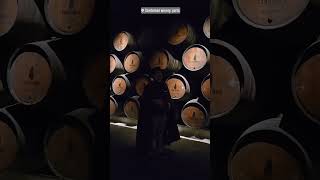 🇵🇹 Porto 포르투 여행일기 Ep5 Sandeman Winery 포르투와인 샌드맨와이너리 여행브이로그 [upl. by Lrig]