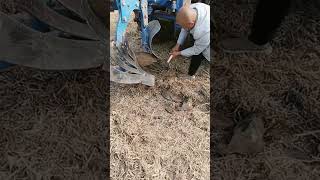 Stone clearing process inside turn plow [upl. by Vories]