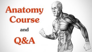 Anatomy Course and Live QampA Hangout [upl. by Eelatsyrc]