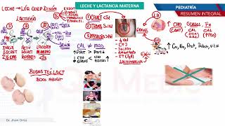 Pediatría  Leche y lactancia materna [upl. by Hildick]