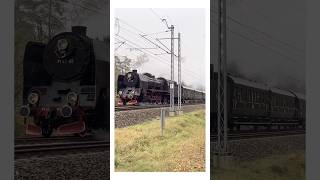 Pt4765  POZNAŃCZYK  train shorts short viralvideo [upl. by Higinbotham755]