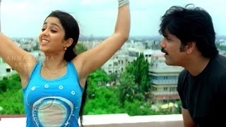 Charmi Tempting Nagarjuna Romantic Scene  Mass Movie  Nagarjuna Jyothika [upl. by Silvan74]