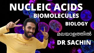 nucleic acids  biomolecules  malayalam  class 11  nucleotides  nucleosides  knowledge vlogger [upl. by Sissie]