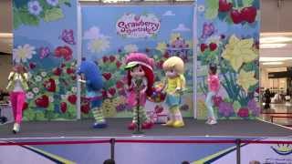 DSS 2013 Week 4 Entertainment in Mirdif City Centre Part 1 [upl. by Hen]