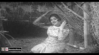 BAAZI JIT LAYI JIND PYAR DE NAVE Sper Hit  NOOR JEHAN  PAKISTANI FILM DULLA HAIDRI [upl. by Oyam]