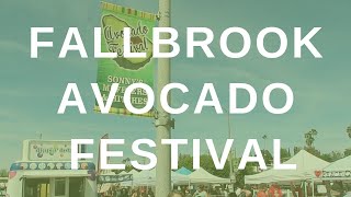 Fallbrook Avocado Festival 2019  Tim Kirk Team [upl. by Gilda]