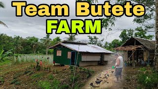 Team Butete Farm Update edisonbuteteofficial5623 [upl. by Gow211]