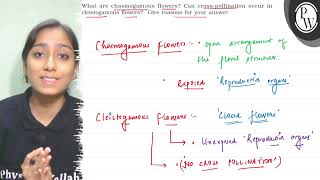 What are chasmogamous flowers Can crosspollination occur in cleis [upl. by Yruoc556]