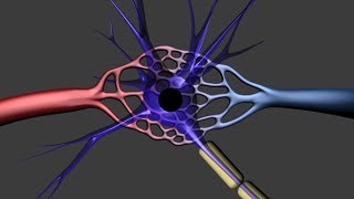 fMRI Functional MRI [upl. by Alekim]