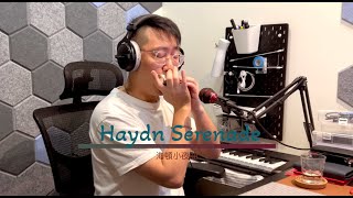 海頓小夜曲 Haydn Serenade 口琴Harmonica附伴奏音樂 [upl. by Notgnilra]