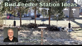 Bird Feeder Station Ideas [upl. by Ierdna]