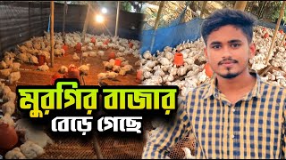 ব্রয়লার মুরগির বাজার বেড়ে গেছে  পাঙ্গাস মাছ  Fisheries [upl. by Yazbak]