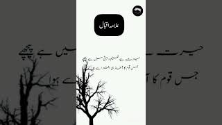 Iqbals poetry  Islamic poetry IQBAL iqbal islamicpoetry WOQ786 [upl. by Barri]