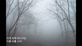 김정호  이름모를소녀wmv [upl. by Baily]