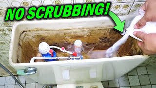 Clean Toilet Tanks without Scrubbing How to Use Citric Acid [upl. by Adiasteb]