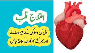 Dil Ka Zor Zor Se Dhadakna  Palpitation Causes And Symptoms palpitation [upl. by Vedis488]