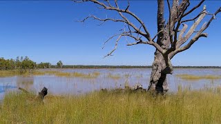 Reedy Lake Nagambie drone [upl. by Sherwynd]