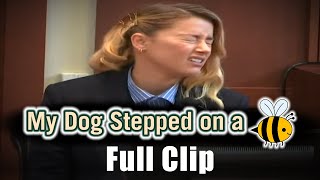 quotMy Dog Stepped On a Beequot  Full Clip [upl. by Eelidnarb238]