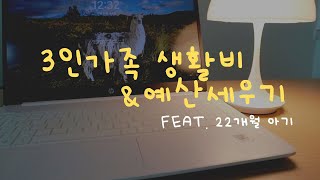 3인 가족 생활비 공개  예산세우기  예산 대비 사용액 확인하며 가계부 쓰기 [upl. by Hpejsoj]