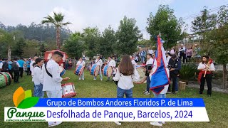 Grupo de Bombos Andores Floridos P de Lima 0 Panque 24 [upl. by Aicnorev]