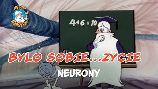 Bylo Sobie Zycie 🌱  Neurony 💭 [upl. by Adhern]