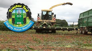 Trailer Tractor Ted Mighty Maize Machine [upl. by Archibold913]