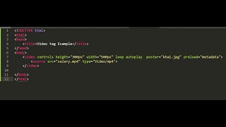 HTML VIDEO TAGELEMENT  AUTOPLAY  LOOP  MUTED  POSTER  PRELOAD ATTRIBUTES [upl. by Vey]