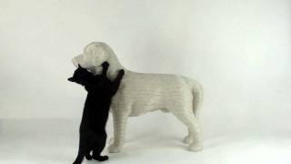 A DOG shaped scratch post for cats Designed by Studio Erik Stehmann [upl. by Aciram789]