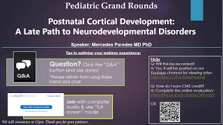 April 14 2022 Postnatal Cortical Development A Late Path to Neurodevelopmental Disorders [upl. by Oguh]