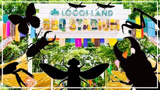 LOGOS LAND（ロゴスランド）で昆虫採集した結果… [upl. by Wollis531]