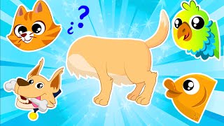 New episode 🐶😺🦜 We learn about pets with the Superzoo team  Educational video [upl. by Ahsinyd]