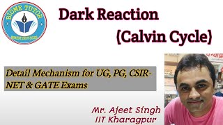 Calvin Cycle II Dark Reaction II Reductive Pentose Phosphate Pathway II C3 Cycle in Plant [upl. by Pansir]