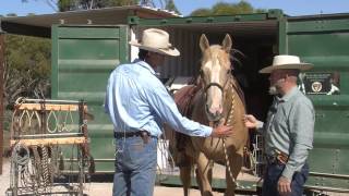 Jeff Sanders Fitting gear on Gandalf [upl. by Cox]