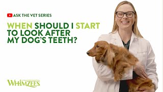 Ask The Vet Series 14  When Should I Start To Look After My Dogs Teeth [upl. by Marcella245]