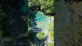 📍 Ginnie Springs  Gainesville FL  Um dos lugares mais incríveis que já visitamos [upl. by Daniele]