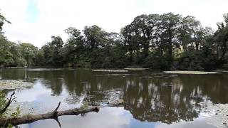 PORT ELIOT LAKES ST GERMANS SALTASH CORNWALL [upl. by Atillertse536]