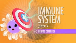 Immune System Part 1 Crash Course Anatomy amp Physiology 45 [upl. by Niccolo]