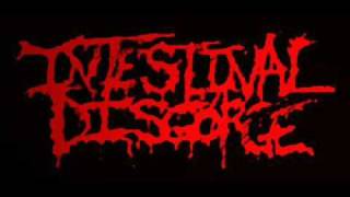 Intestinal Disgorge  Rectum Grinder [upl. by Narual164]