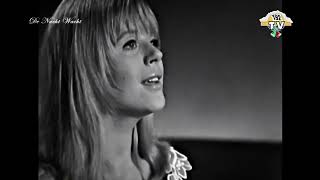 Marianne FaithFull  This Little Bird 1965 [upl. by Ees]