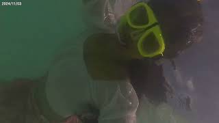 snorkeling in maldivestrending viralvideo [upl. by Cobbie45]