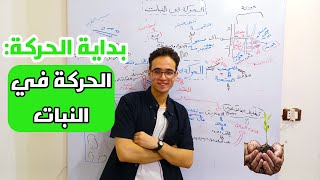 ذاكر معايا الحركة في النبات🌱مش هتحتاج تذاكر بعد المحاضرة دي😎احياء ثالثة ثانوي 2025 [upl. by Qulllon746]