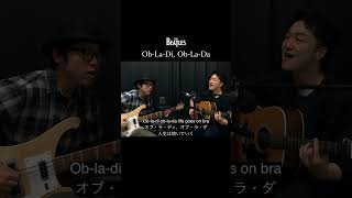 ObLaDi ObLaDa  オブ･ラ･ディ､ オブ･ラ･ダ  ビートルズ The Beatles Cover shorts [upl. by Eniamsaj]